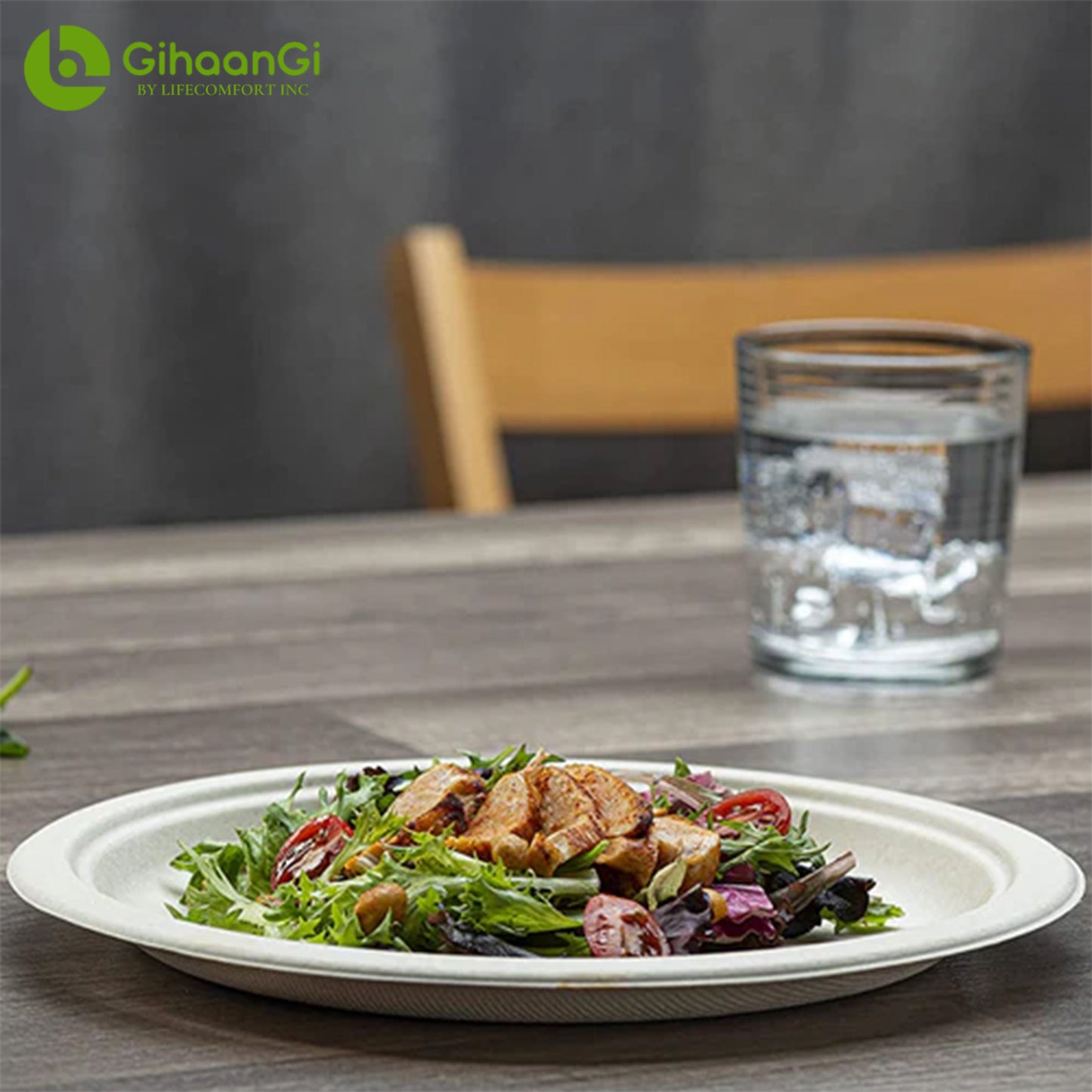 10" Bagasse Plates (Brown)